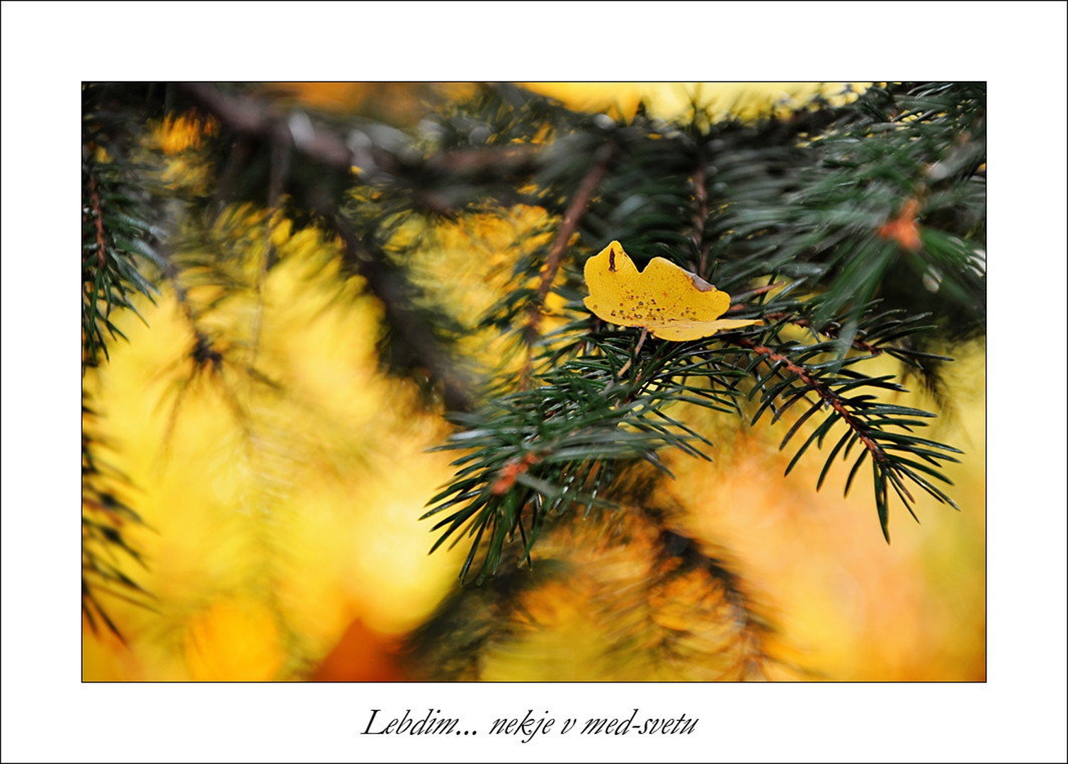 Lebdim... nekje v med-svetu by Anja