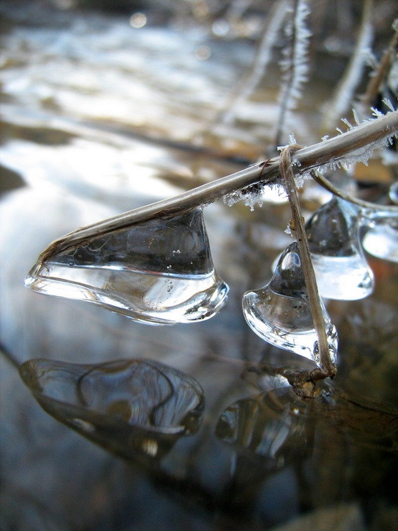 winter bells by Ema Kuster