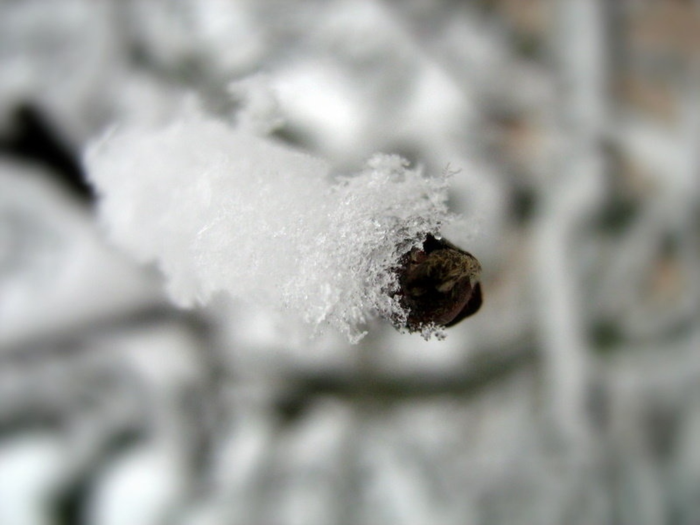 Winter time by Ema Kuster