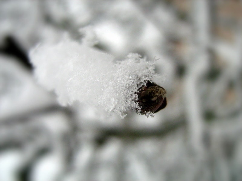 Winter time by Ema Kuster