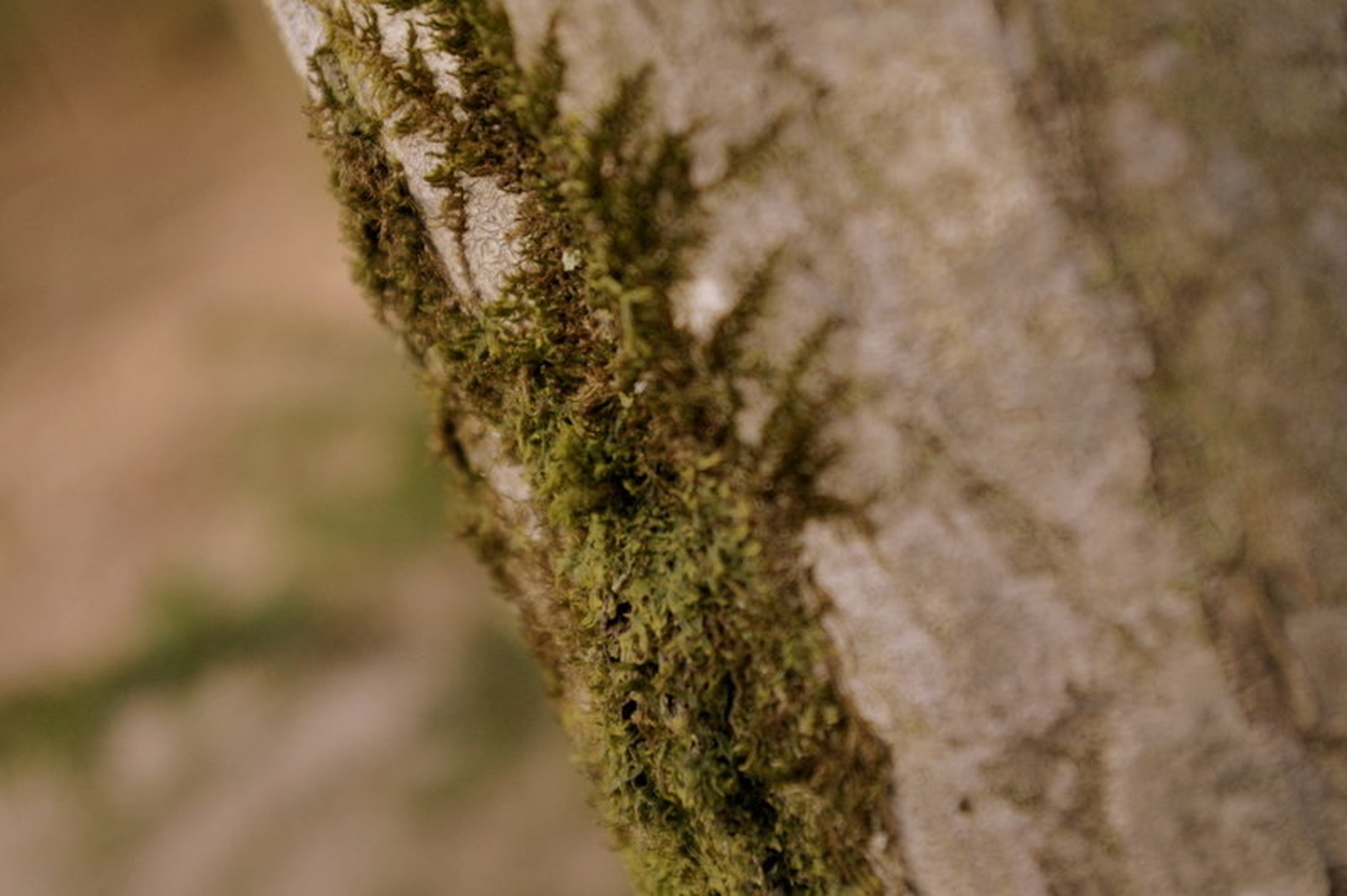 ... by Ema Kuster