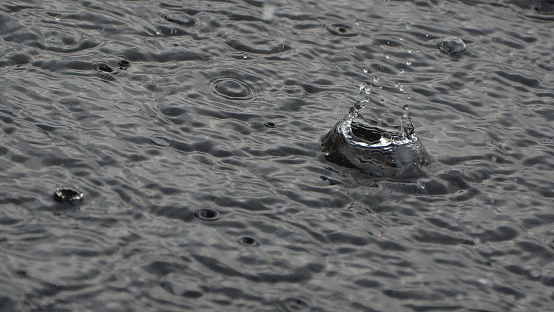 rain. by Ema Kuster