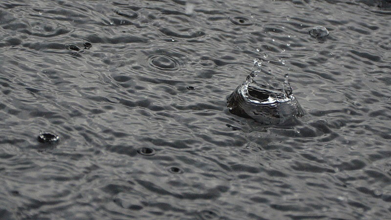 rain. by Ema Kuster