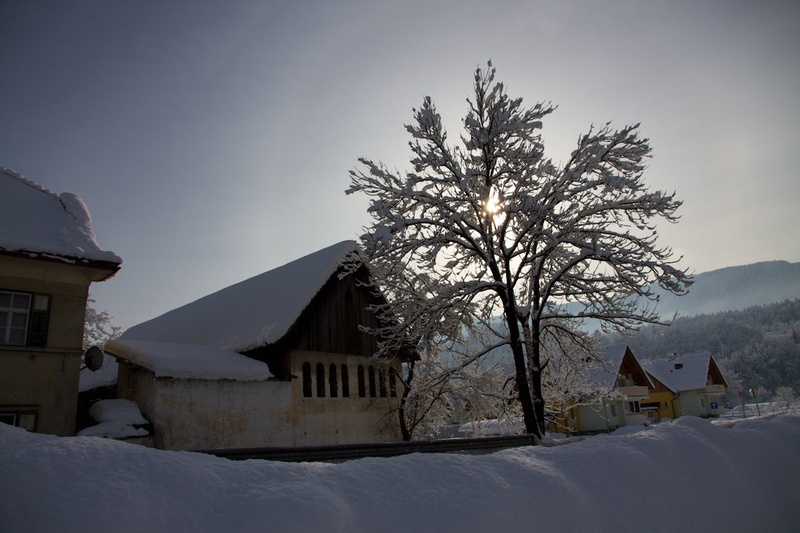 Sonce, sneg in drevo by Erazem Dolžan