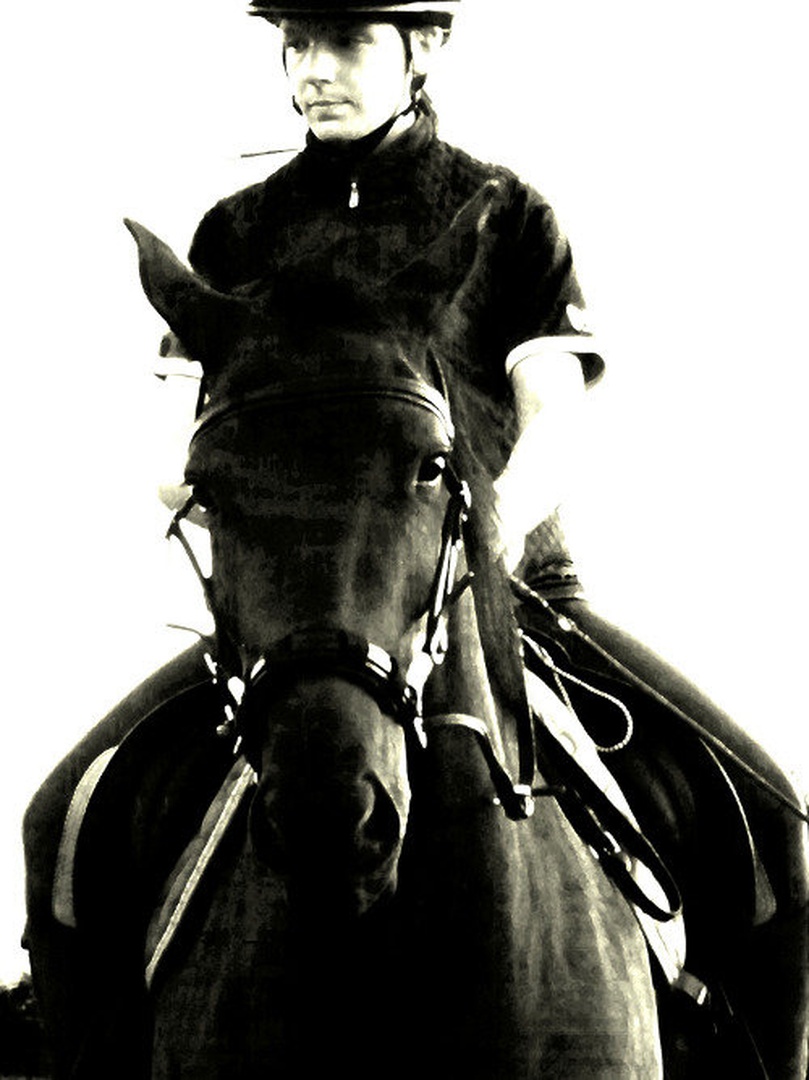The horse by maja