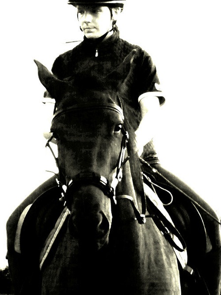 The horse by maja