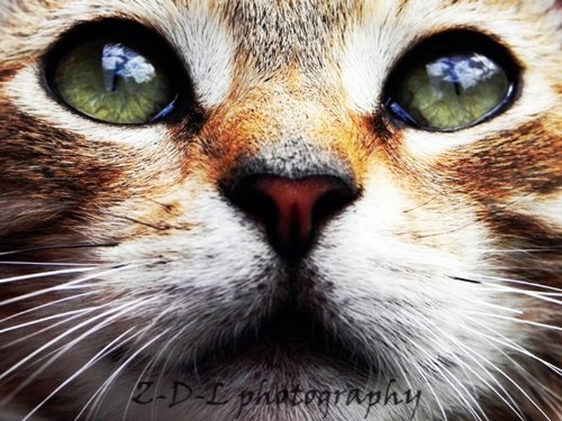 Look at me! by maja