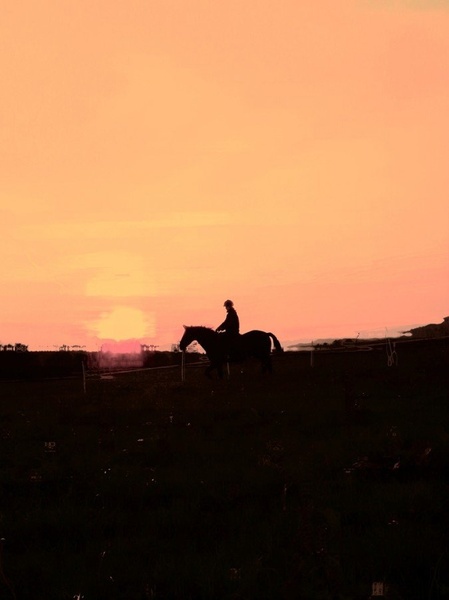 Riding  in Sunset by maja