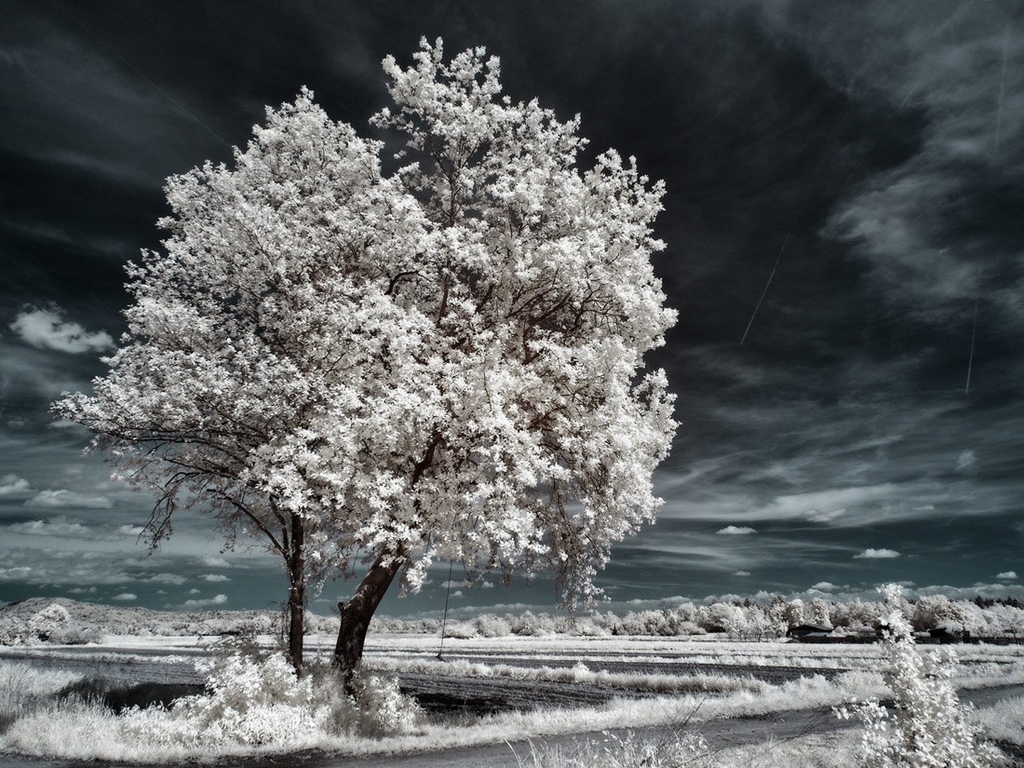ir2 by