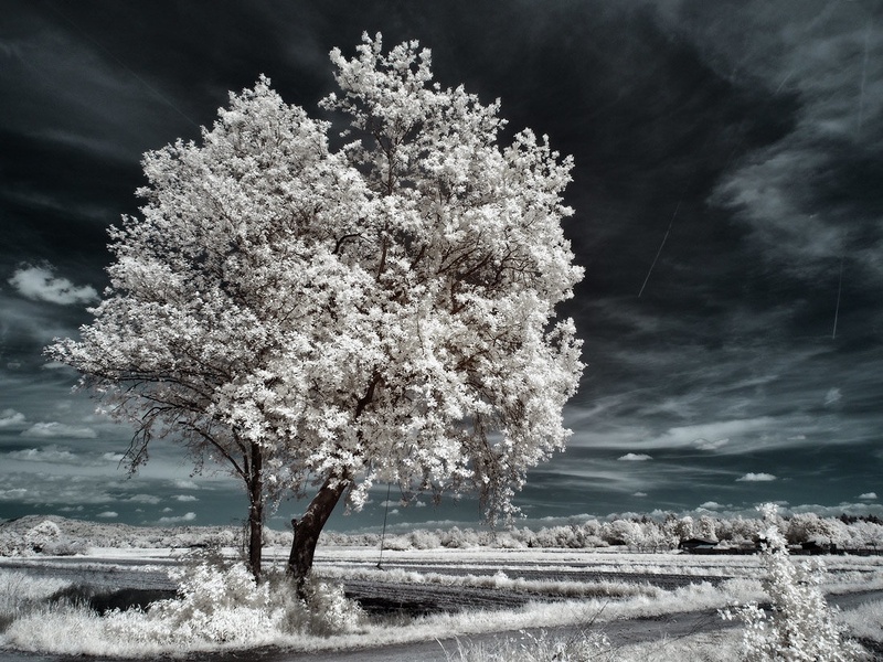 ir2 by misfits