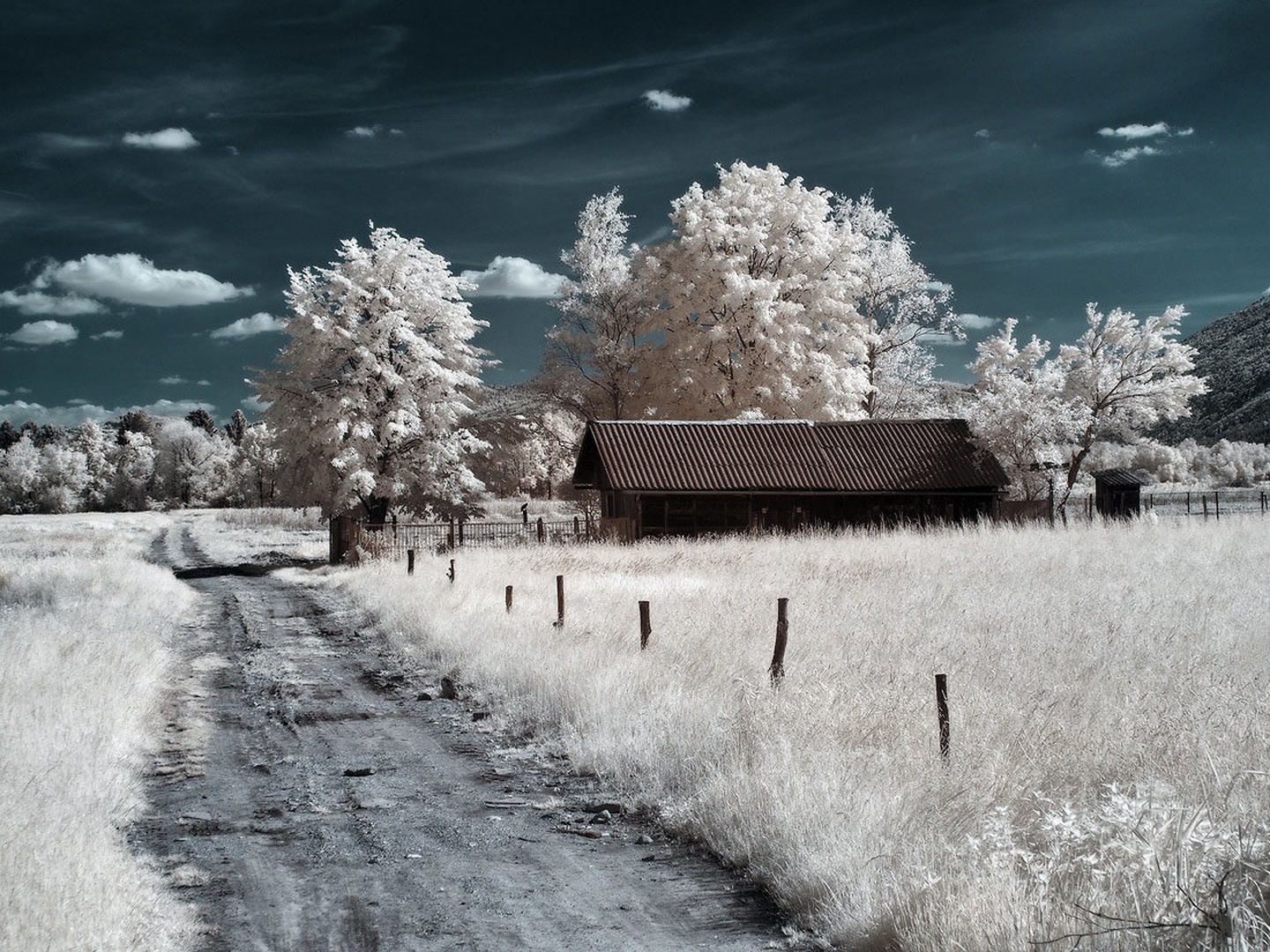 ir4 by