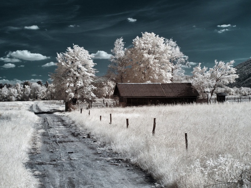 ir4 by misfits