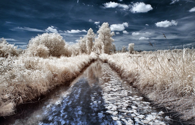 ir7 by misfits