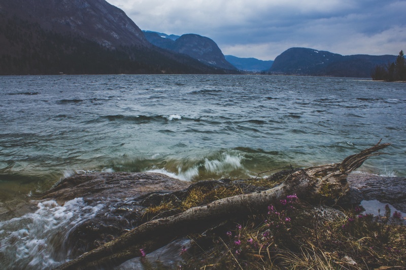 Jezero by Nina Pangeršič