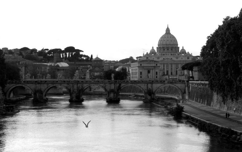 Roma by Nina Pangeršič