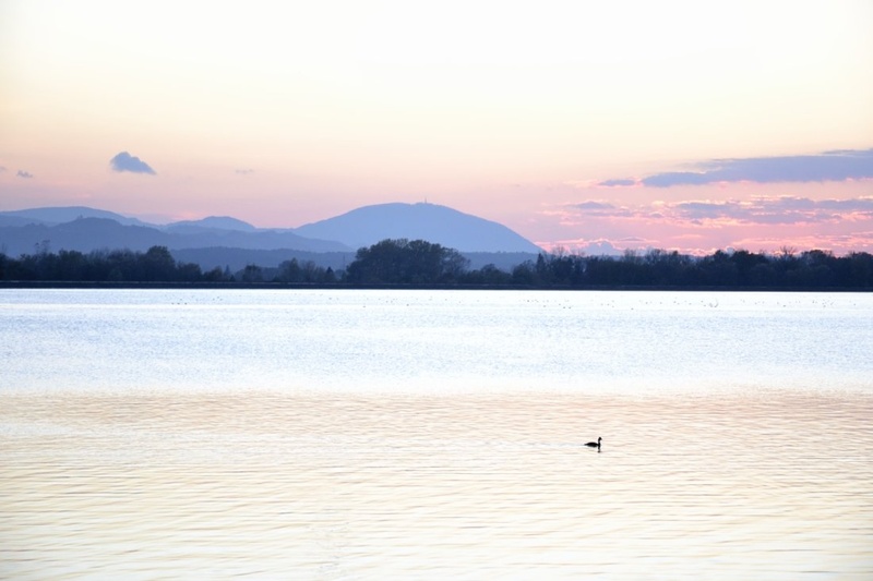 Jezero by Primož Njegač