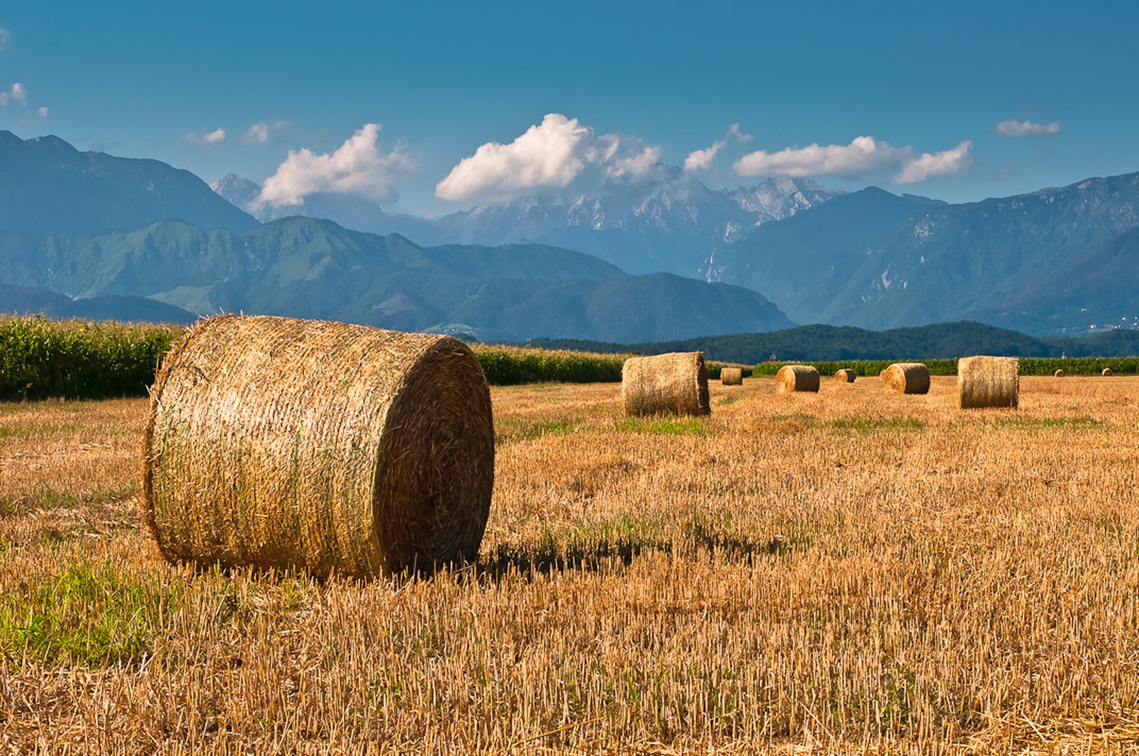 Bale by