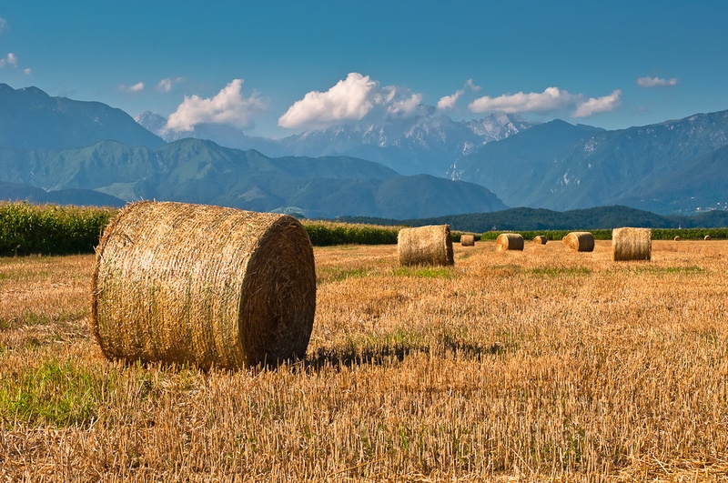 Bale by Boskomarela