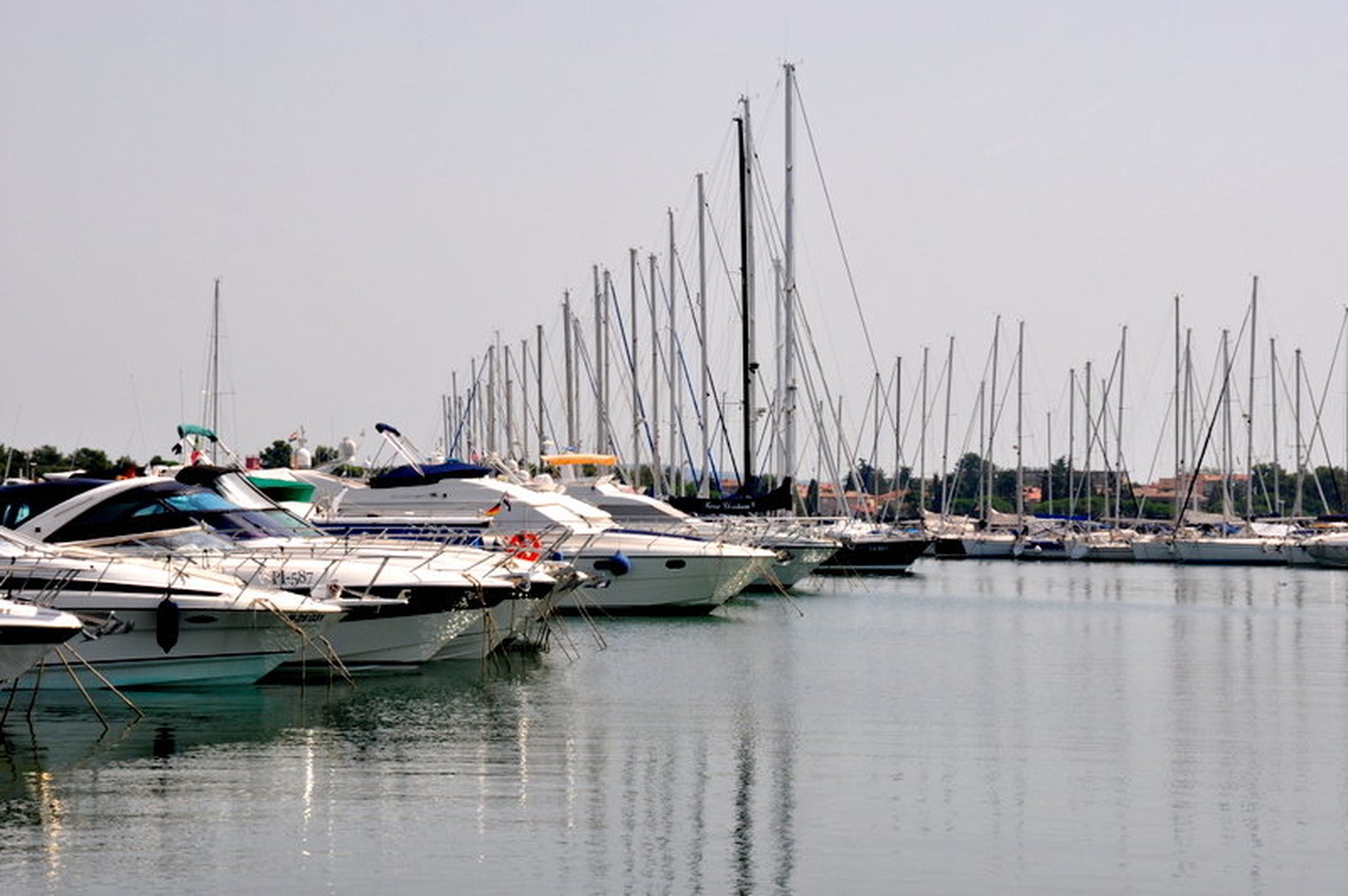 marina by Neža Orešnik