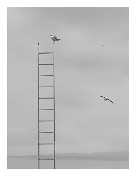 Hard way for real Freedom by Marko Buntic