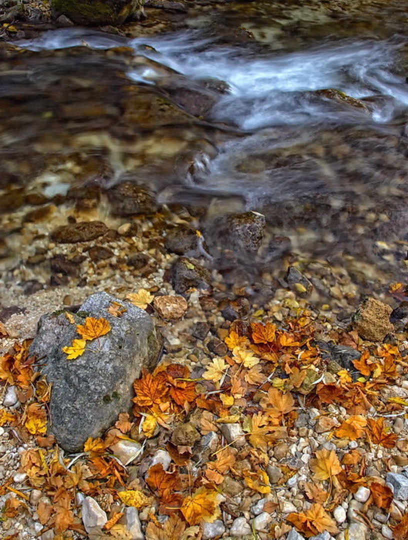 Autumn Leafs by Marko Buntic