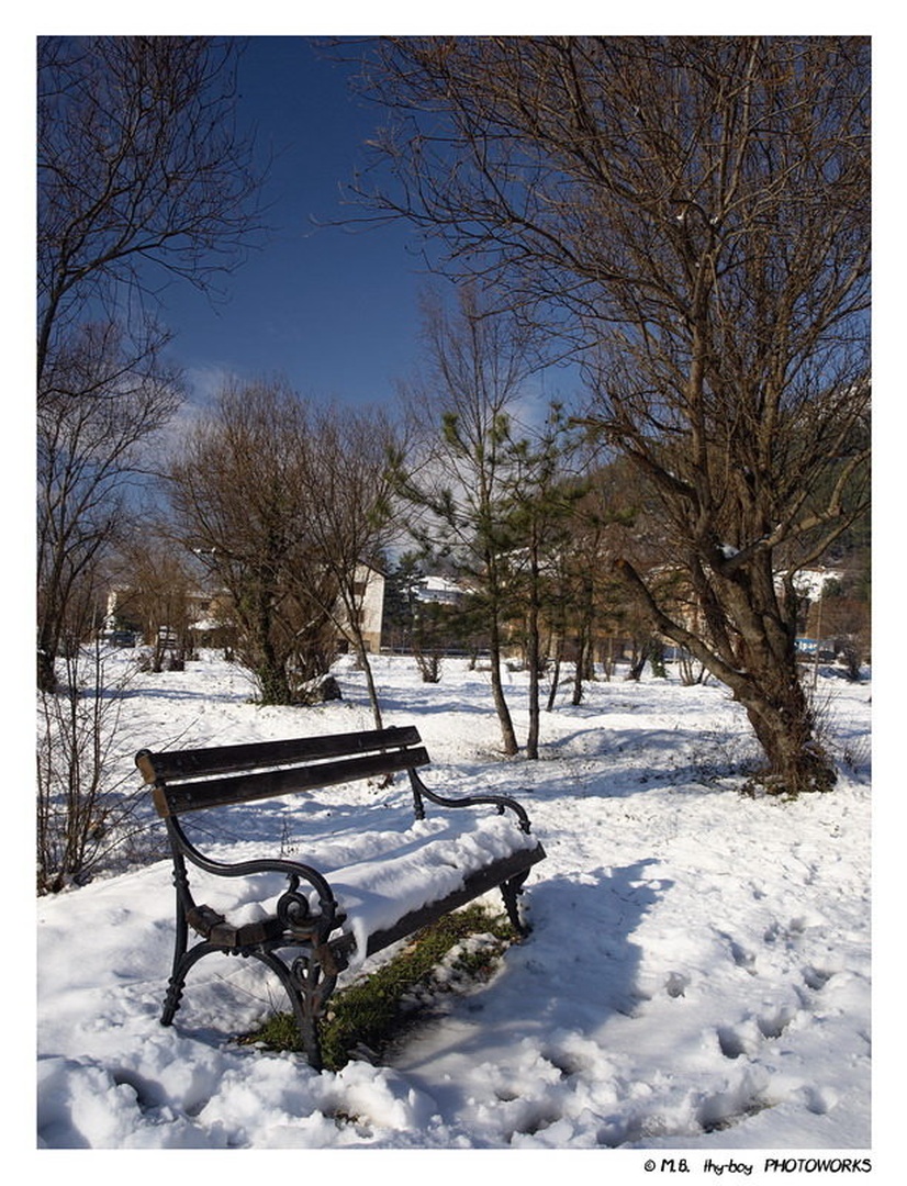 Winter Bench by Marko Buntic
