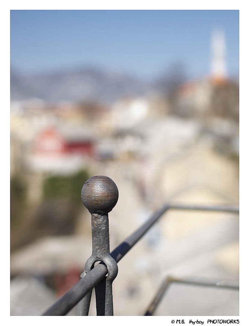 the Fence by Marko Buntic
