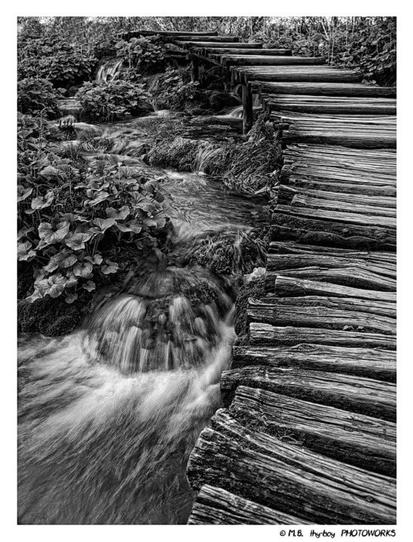 Wooden Path by Marko Buntic