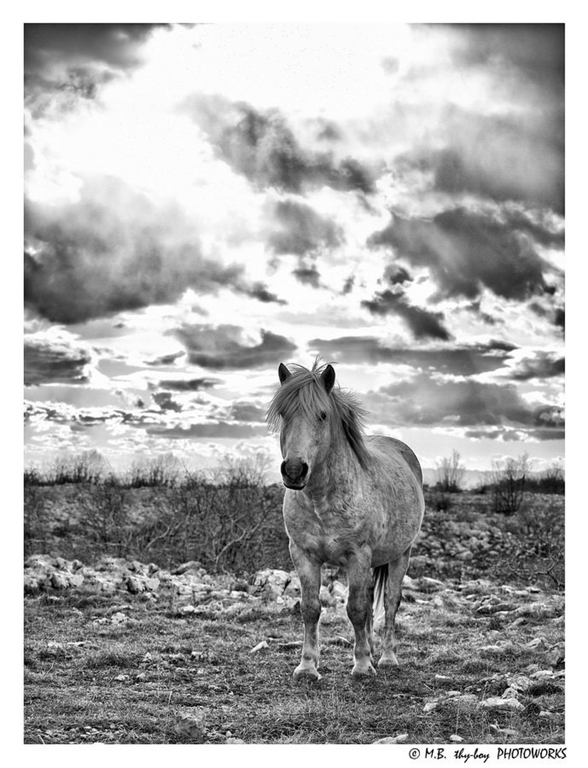 Thunderbolt on a Cloudy day by Marko Buntic