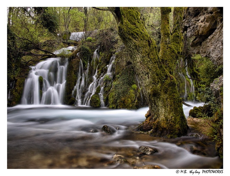 Green Bliss by Marko Buntic