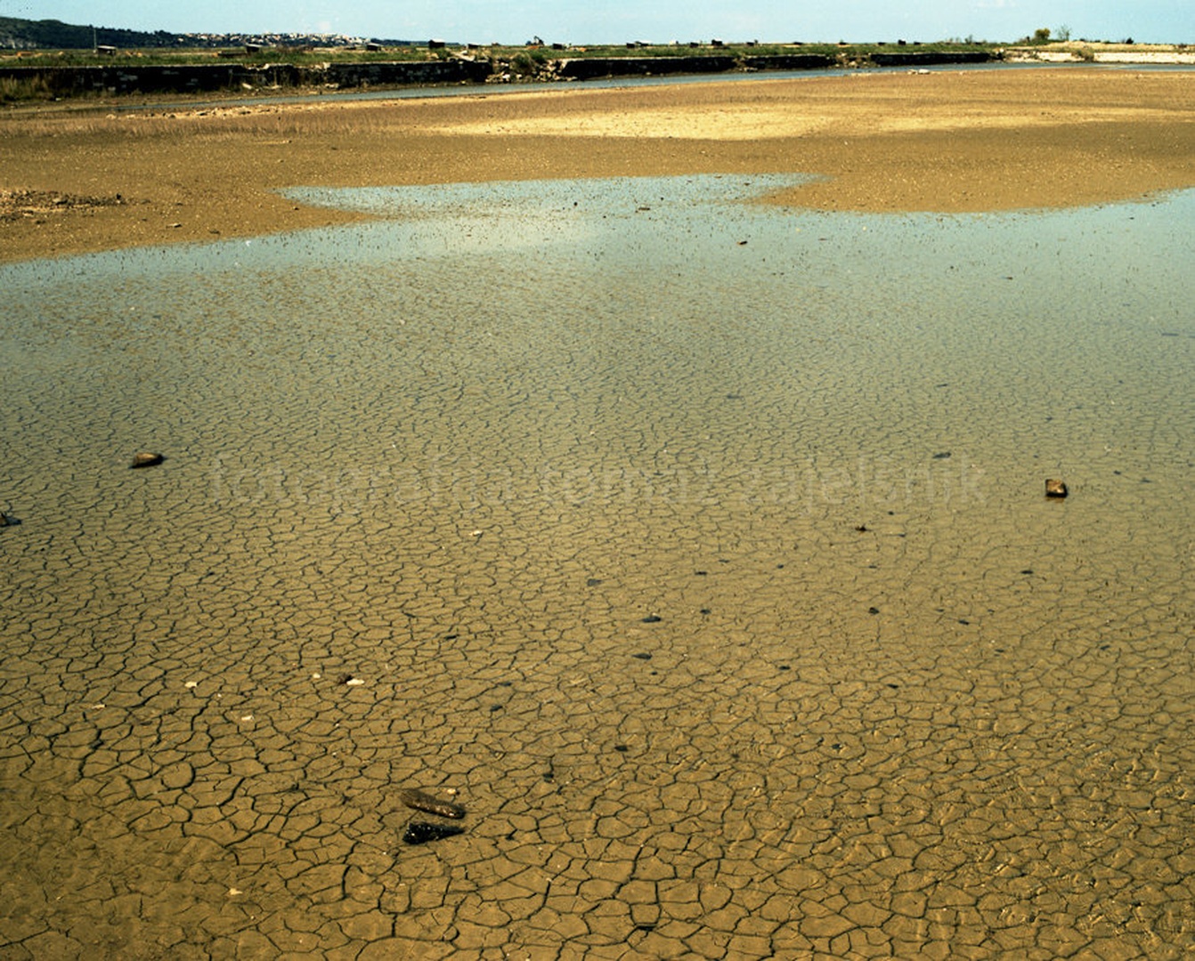 Soline 1 by