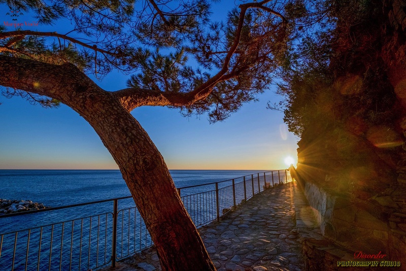 KVARNER by Disorder