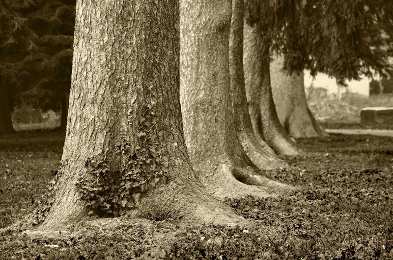 ... by Ayreen