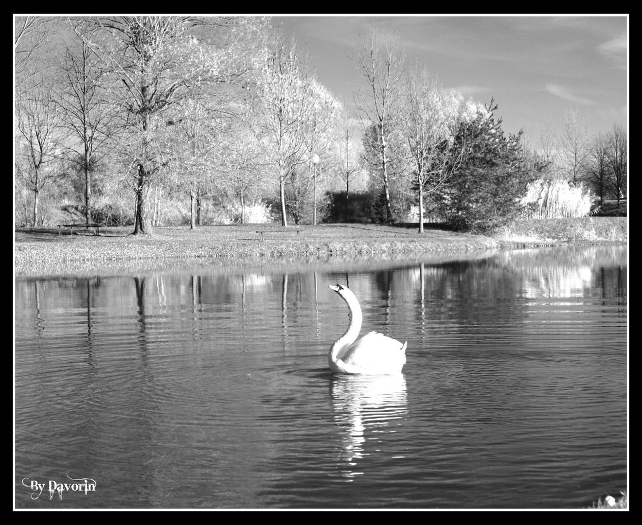 labodje jutro by