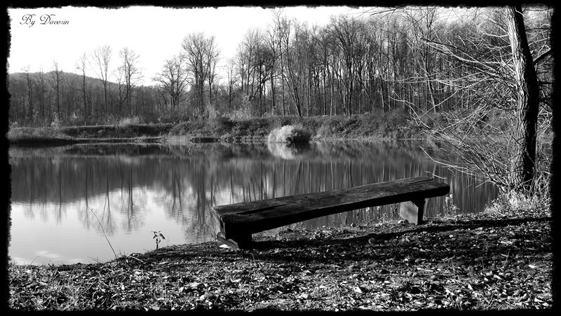 Osemljena in prazna klopca by davorin79