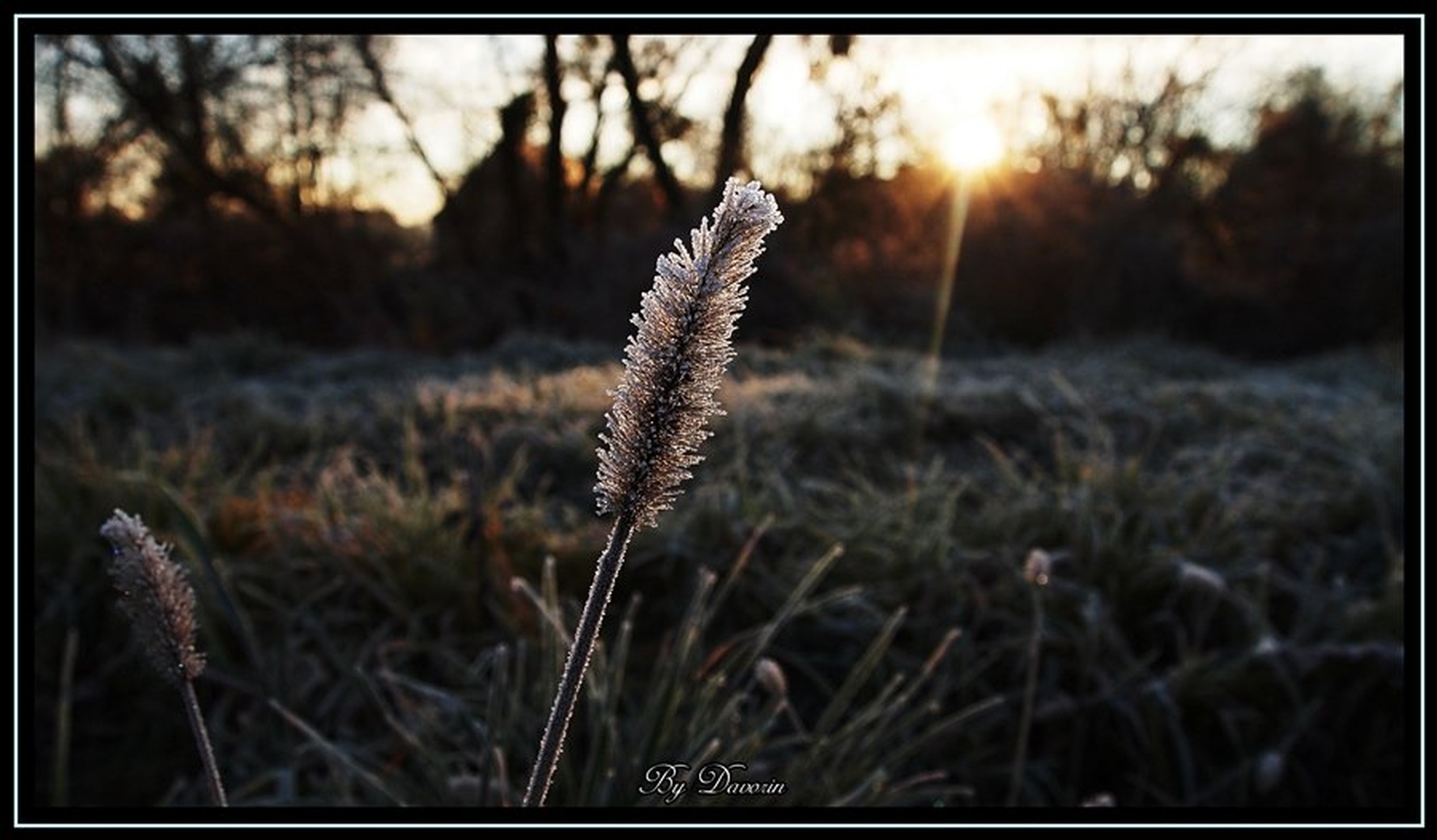 Ko mrzlo jutro se prebuja... by