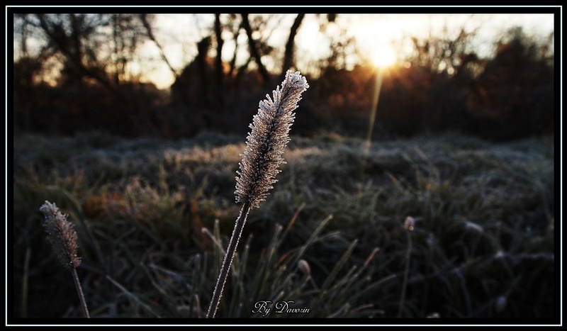 Ko mrzlo jutro se prebuja... by davorin79