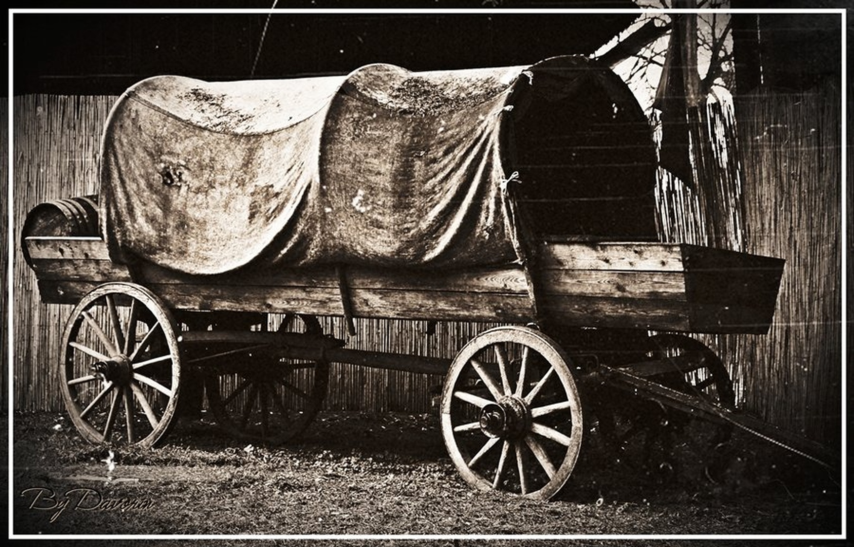 THE WILD WEST by