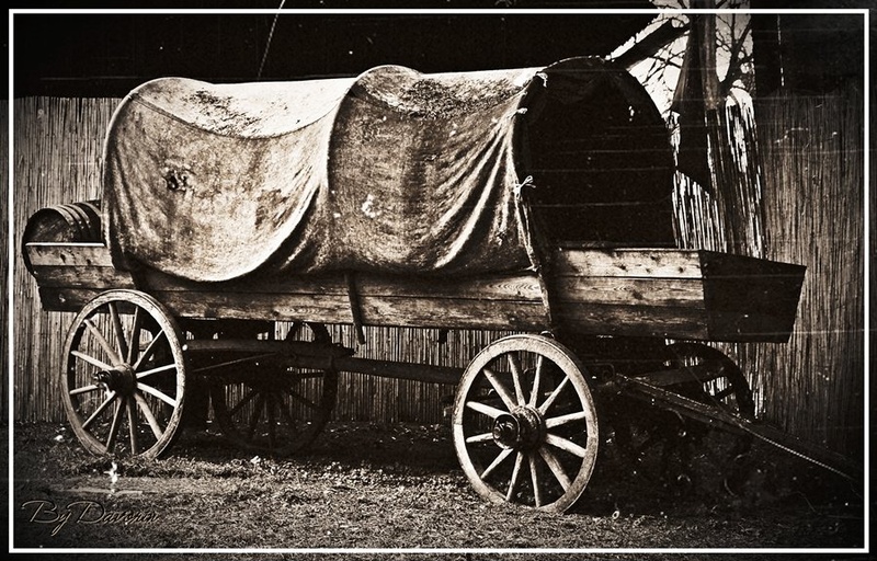 THE WILD WEST by davorin79