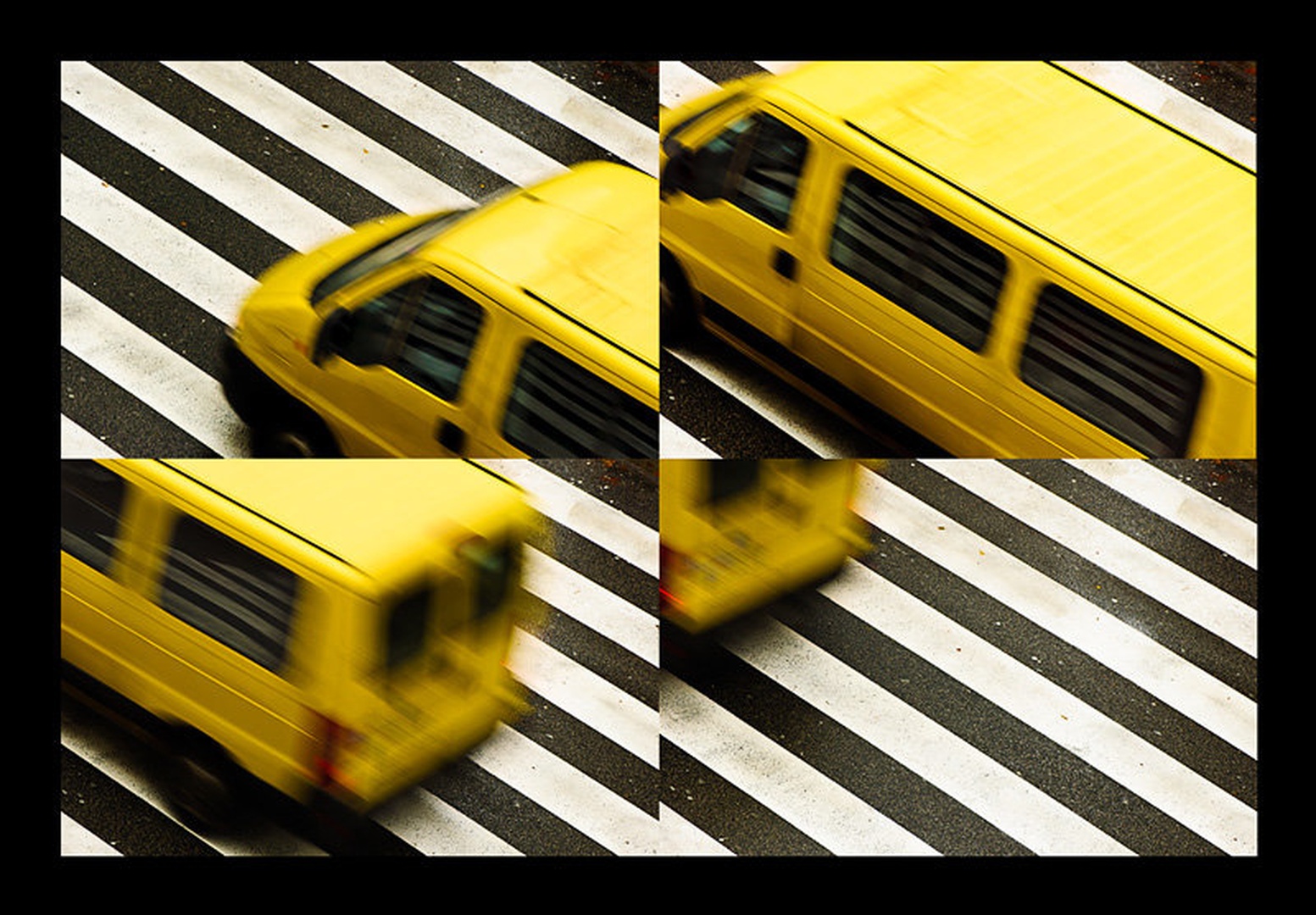 Zebra Impressions II by