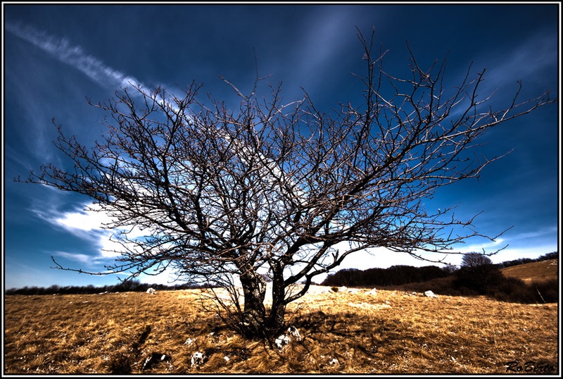 Nebivedel by Fanatic