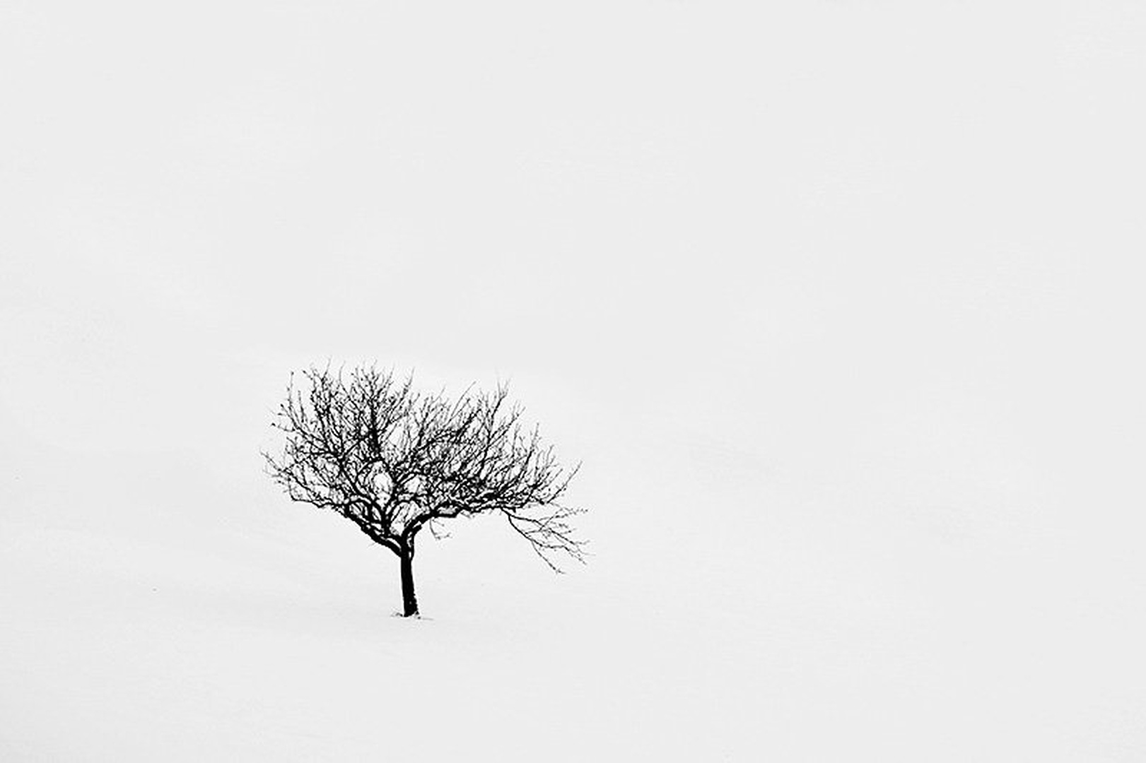 upornik by santo