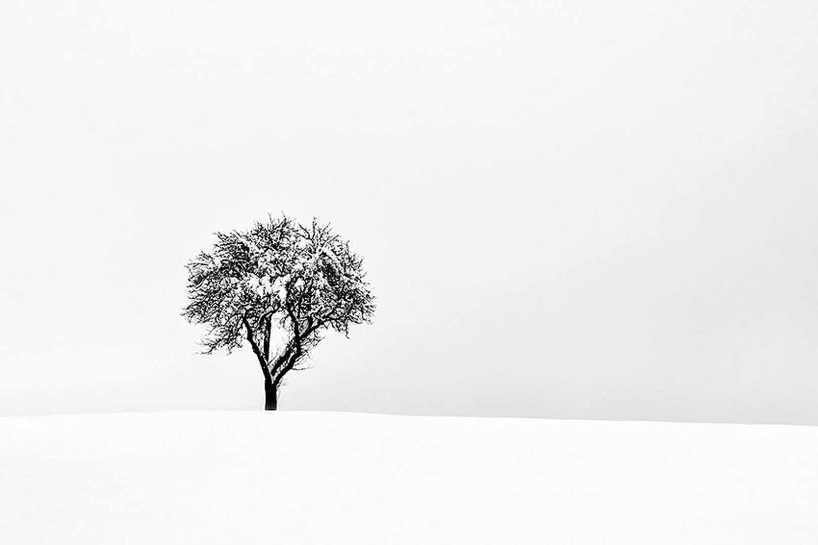 upornik II by santo