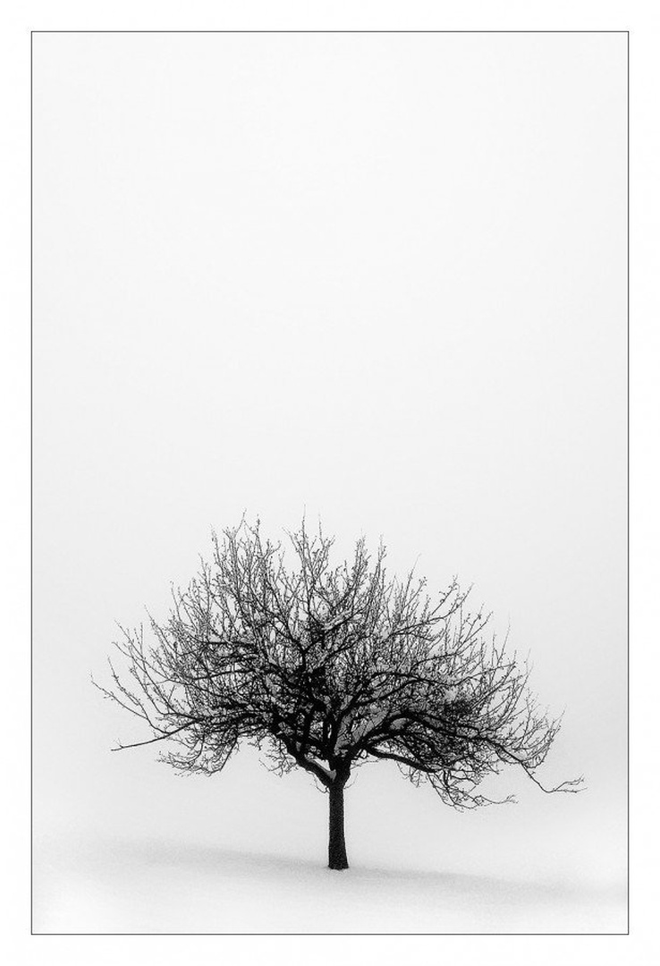 black & white by santo