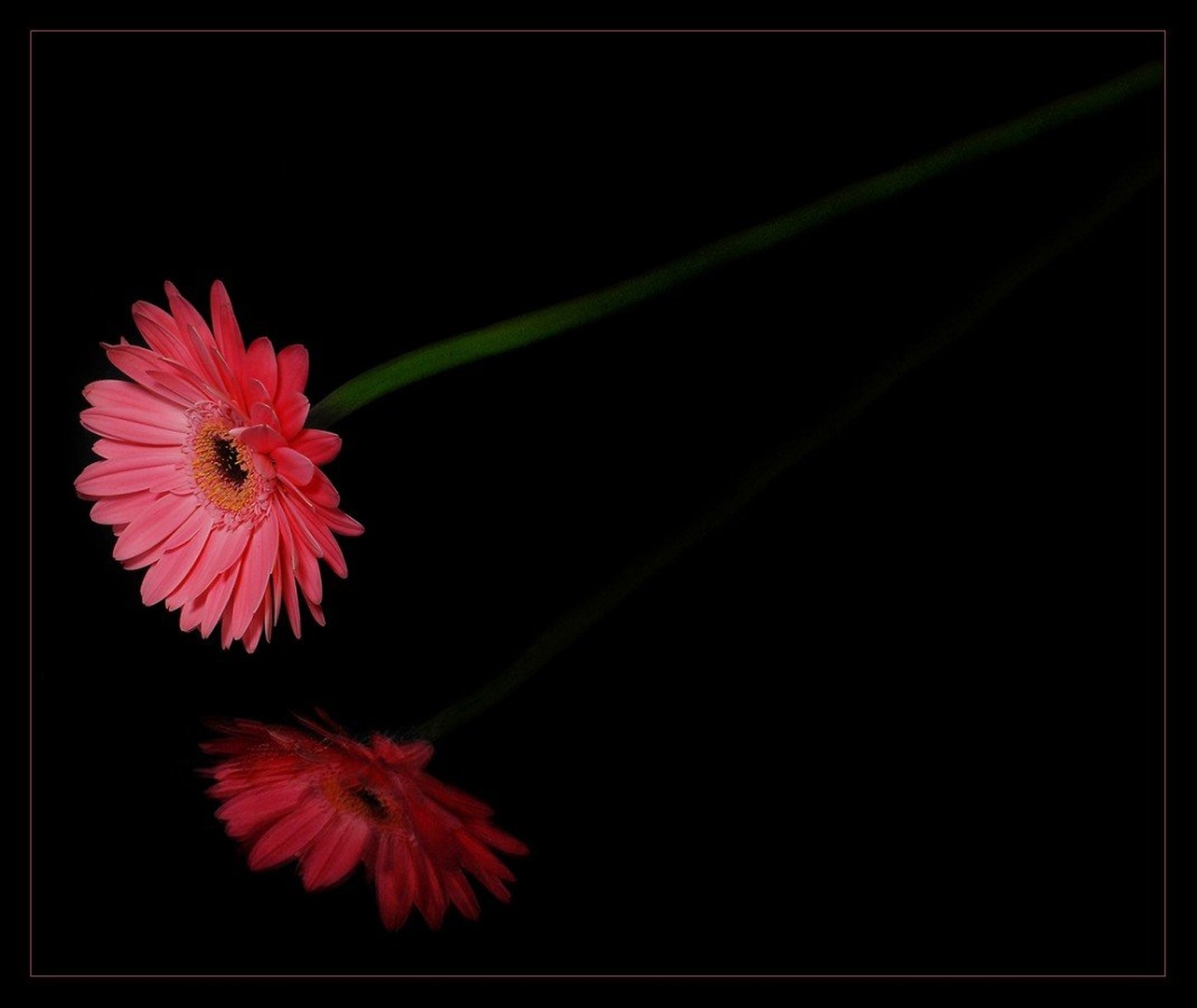 zrcalce, zrcalce, povej... II by santo