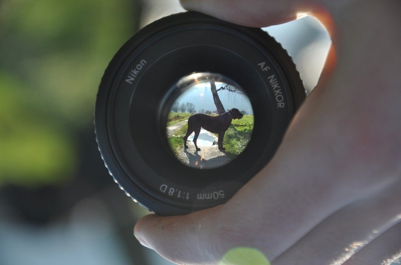 50mm pozer by azbi