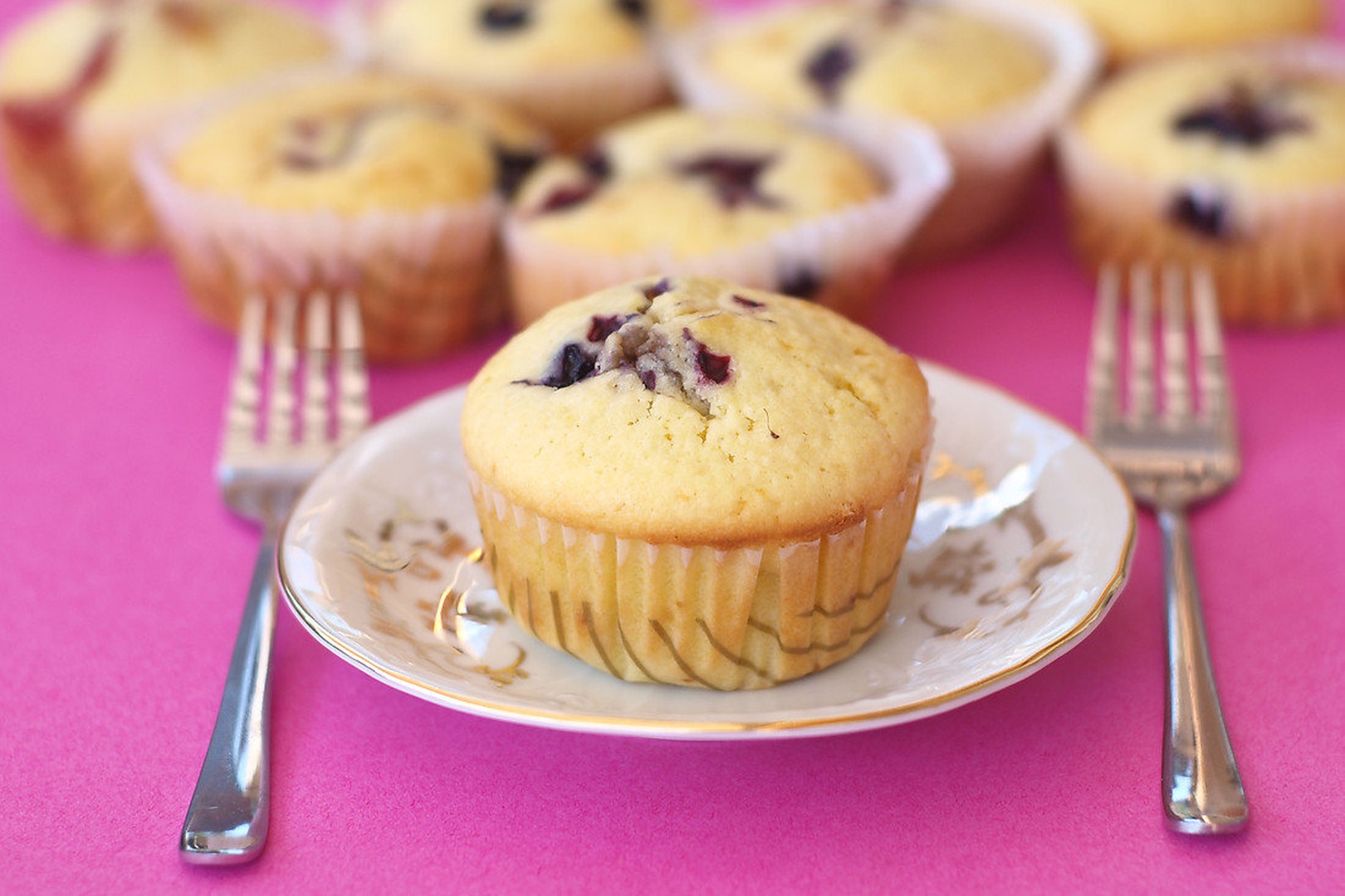 Muffin by Špela Gros