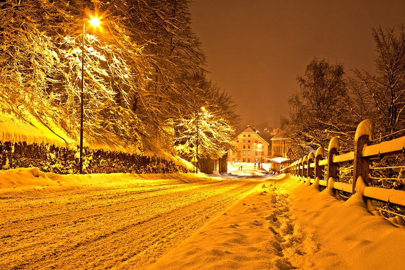 golden winter by Domen