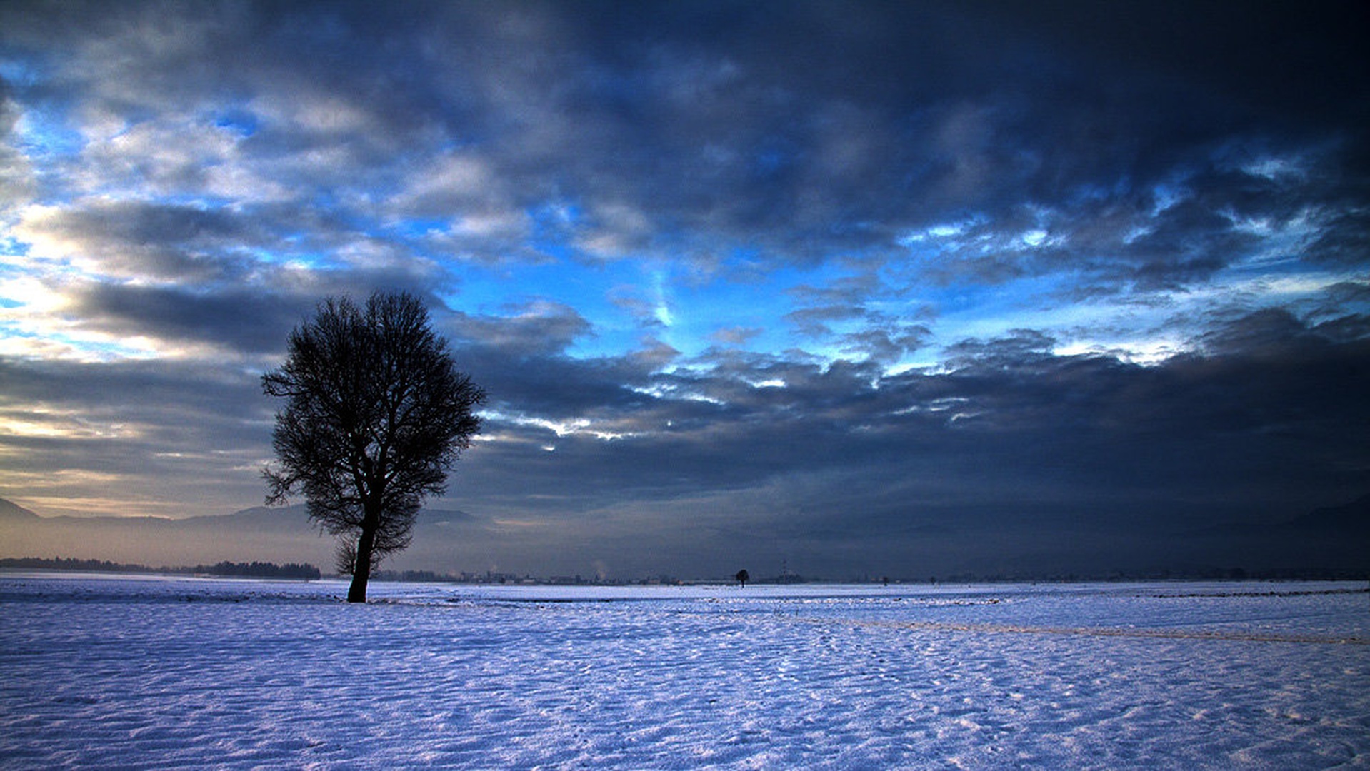 The One by Domen