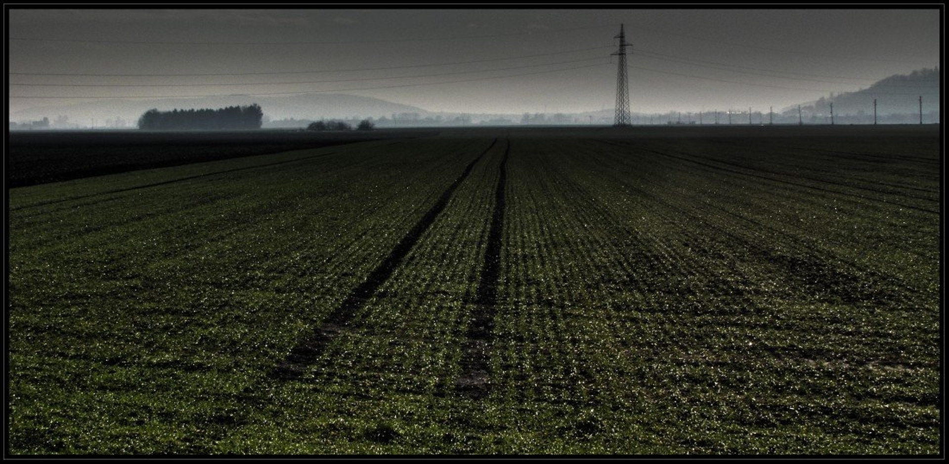 The path by